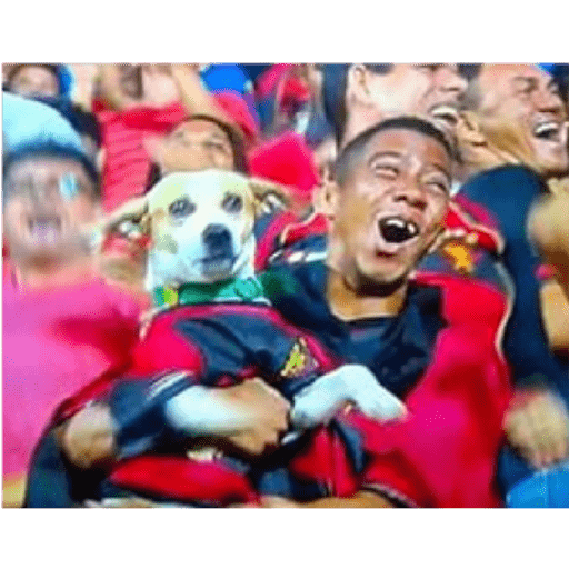 Memes do futebol brasileiro 5