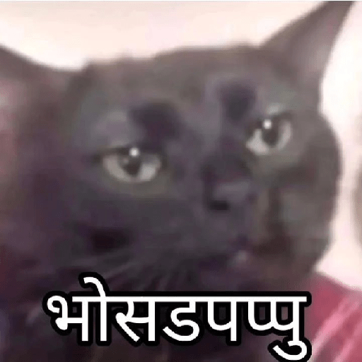 Random Meme 30
