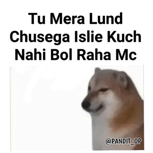 Random Meme 3