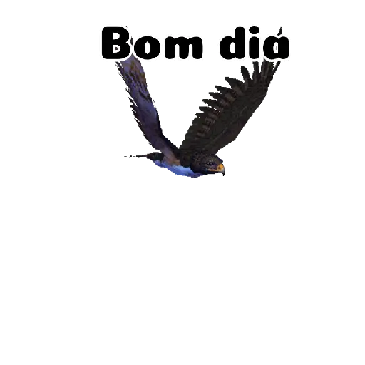 Bom dia 7