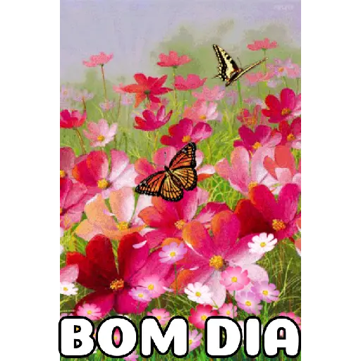 Bom dia 8