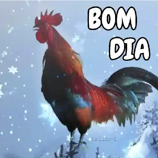Bom dia 2