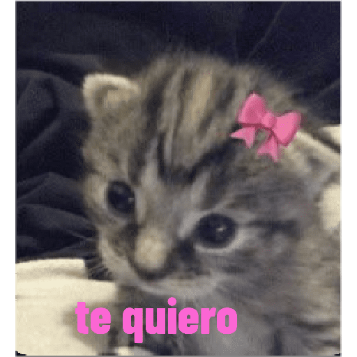 Ola si lees esto te amo mucho  1