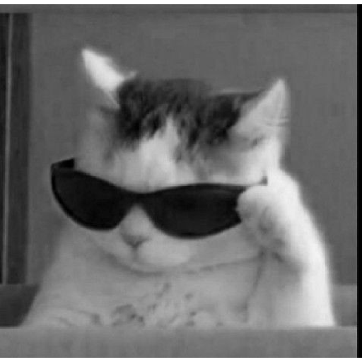 MOOD 35