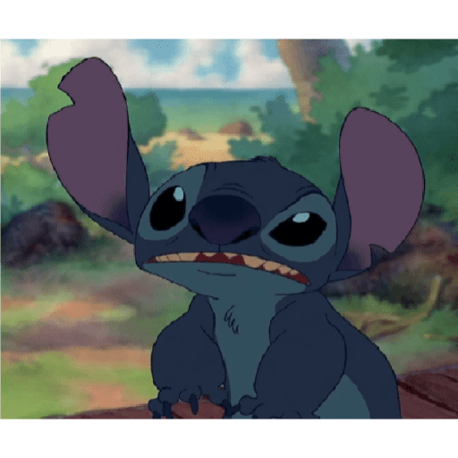 Stitch 19