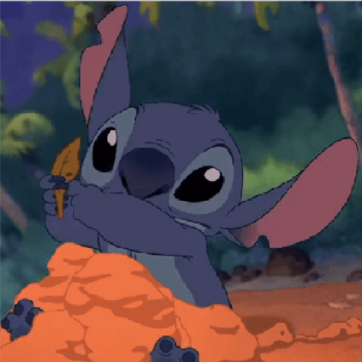 Stitch 28