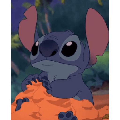 Stitch 29