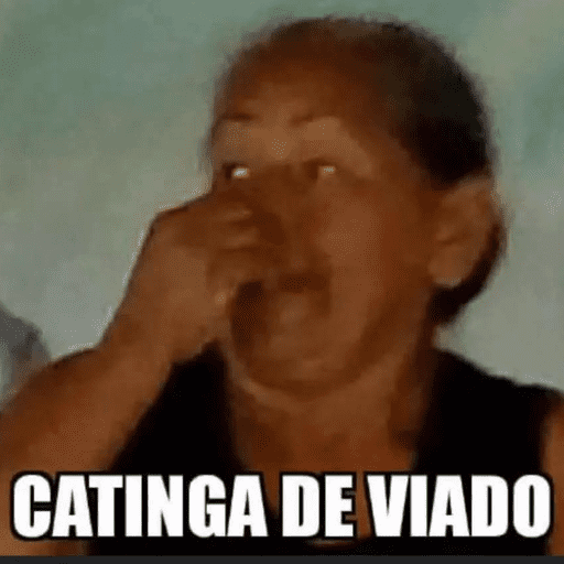 Memes Aleatórios 20