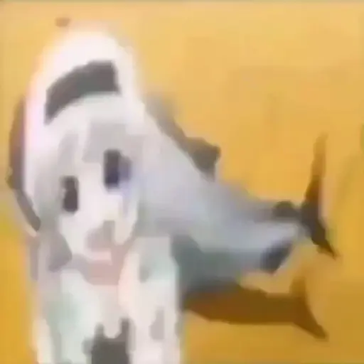 XDDDDD