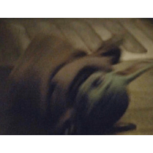 BabyYoda 3