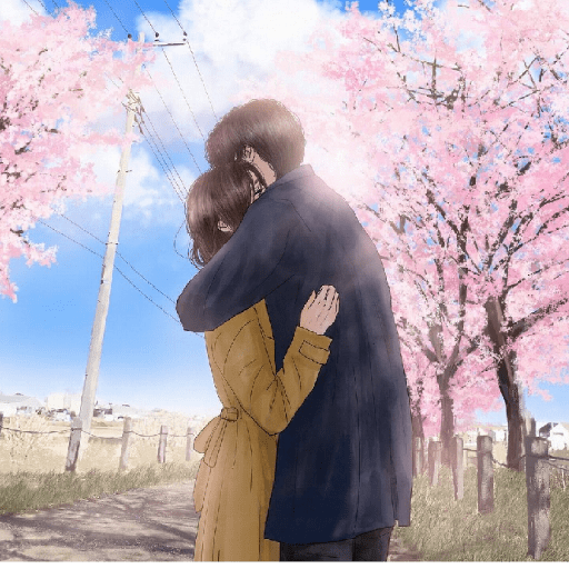 Romance 12