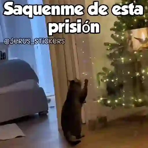 Navidad 🎄 8