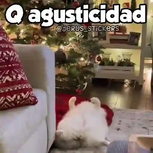 Navidad 🎄 6