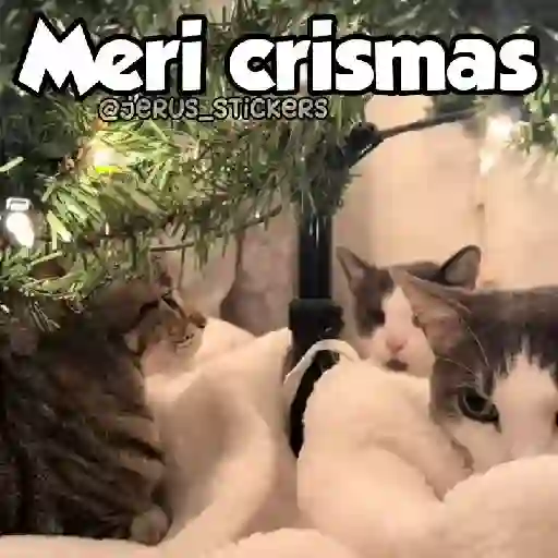 Navidad 🎄 5