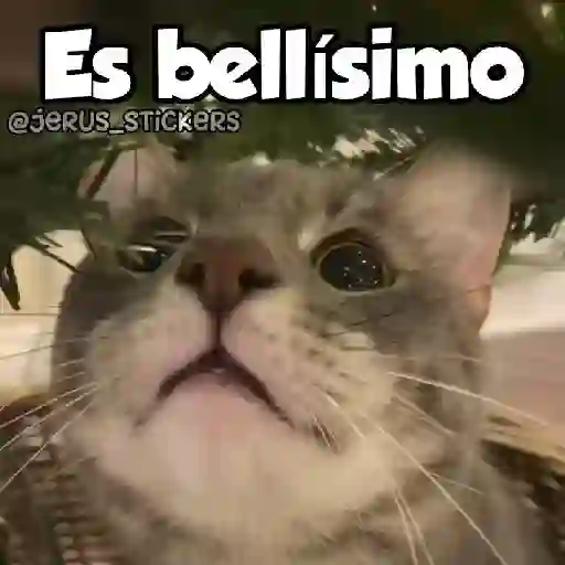 Navidad 🎄 4