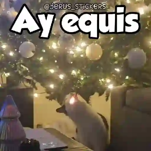 Navidad 🎄 12