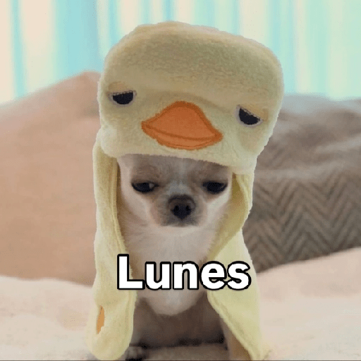 Lunes 🎄 1