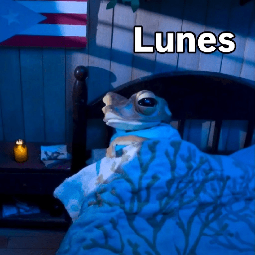 Lunes 🎄 8
