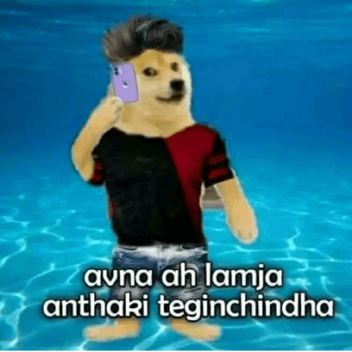 Chimtu 5