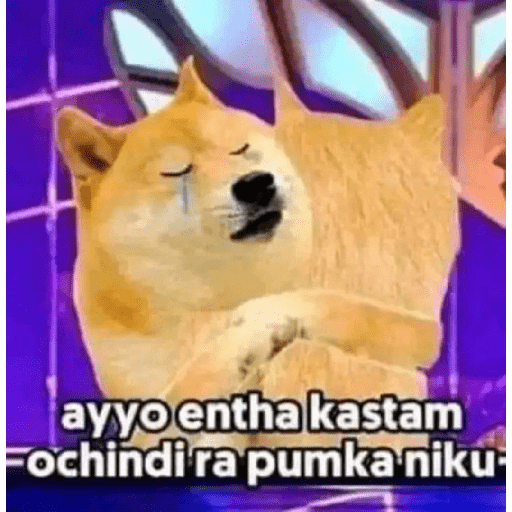Chimtu 29