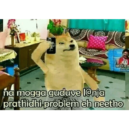 Chimtu 20