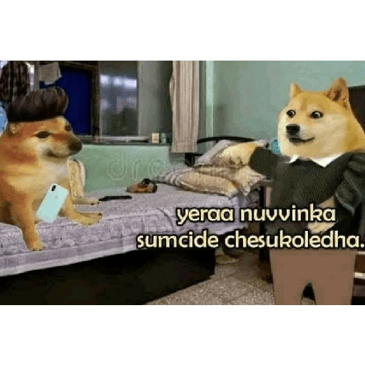 Chimtu 17