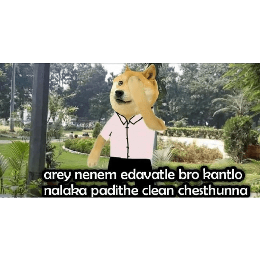 Chimtu 3