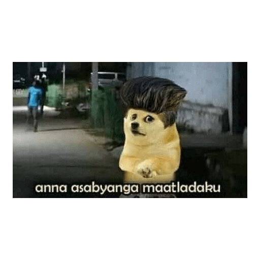 Chimtu 4