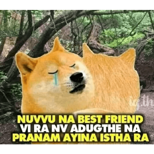 Chimtu 6