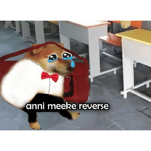 Chimtu 8