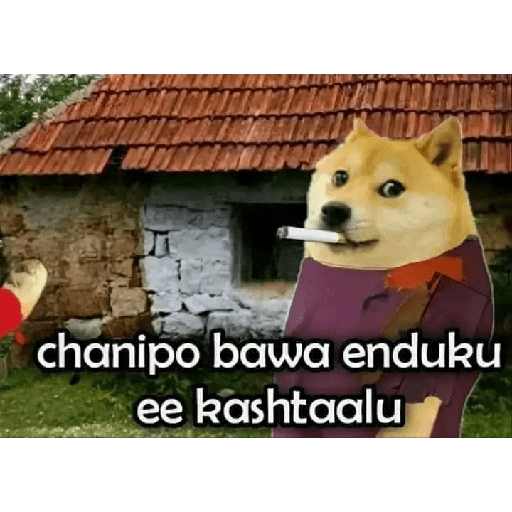 Chimtu 12