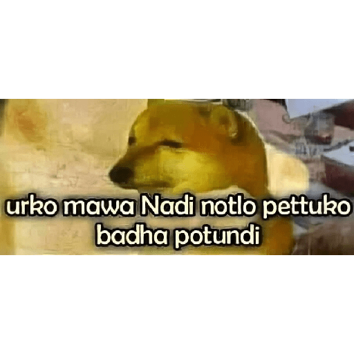 Chimtu 16