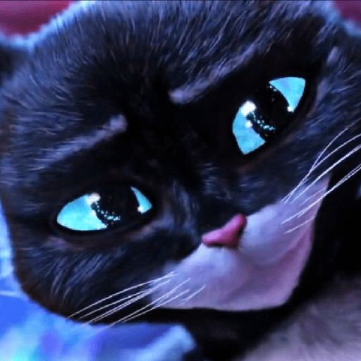 Kitty Softpaws 3