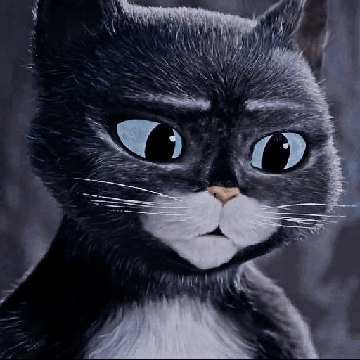 Kitty Softpaws 7