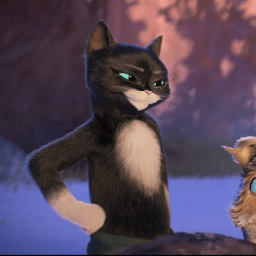 Kitty Softpaws 13