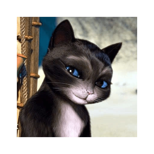 Kitty Softpaws 14