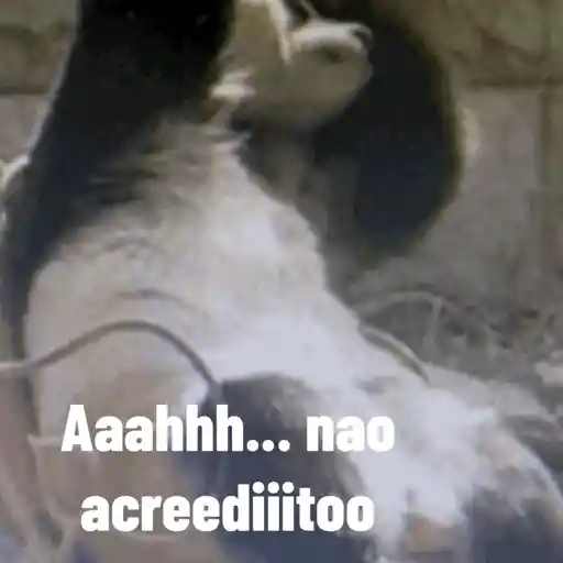 Figurinha 4