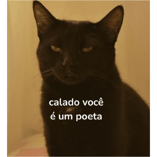 Aleatório 3 6