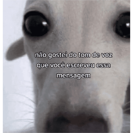 Aleatório 3 5