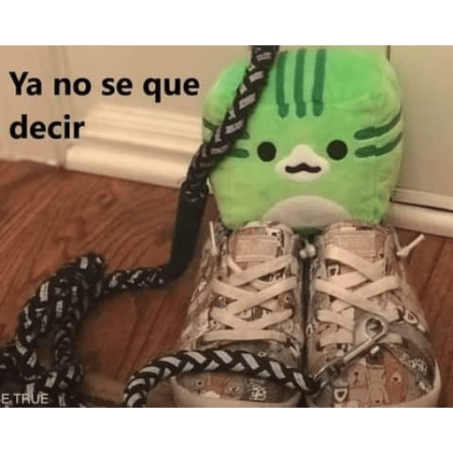 RandomShit#18 22