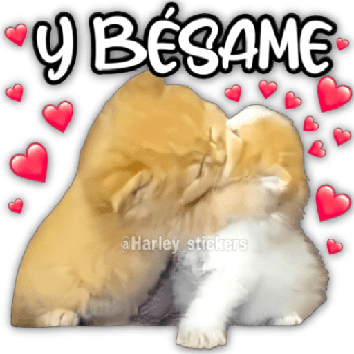Amorcito 2 Uwu Amorcito 2 Uwu