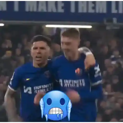 Chelsea 💙🤍🦁 12