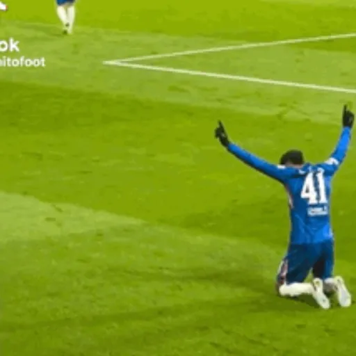 Chelsea 💙🤍🦁 30