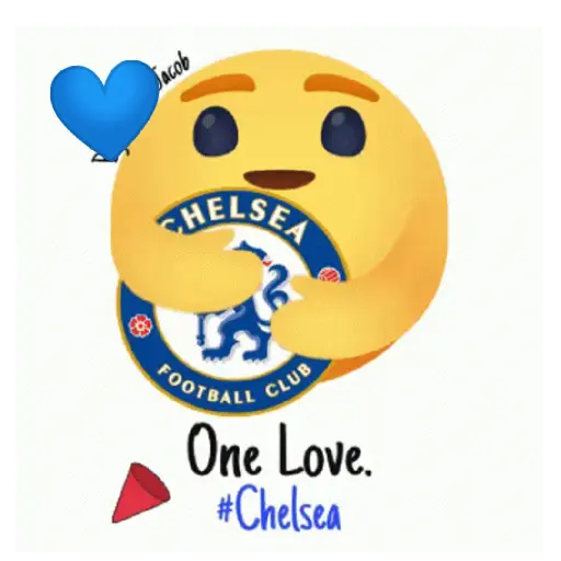 Chelsea 💙🤍🦁 4