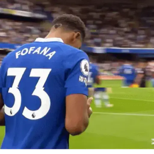 Chelsea 💙🤍🦁 10
