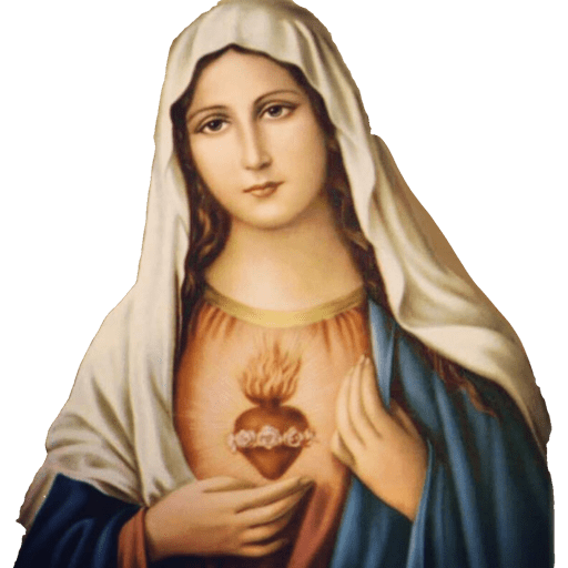 Santa Maria Goretti 25