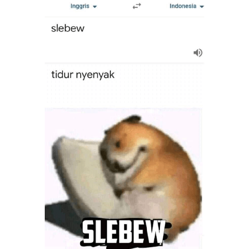 Sempak ijo 6