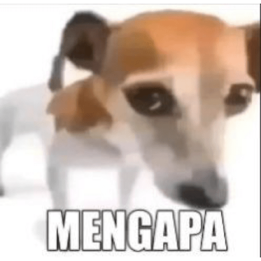 Sempak ijo 4