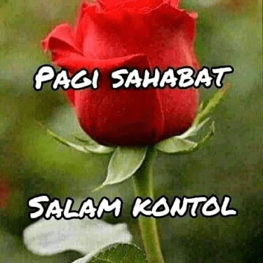 Sempak ijo 16