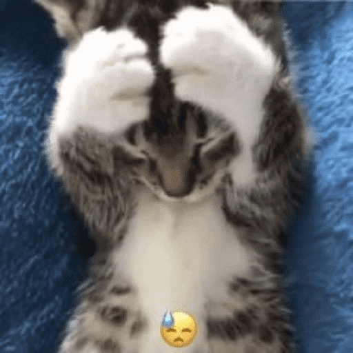 GATITOS//PERRITOS CUTE 13